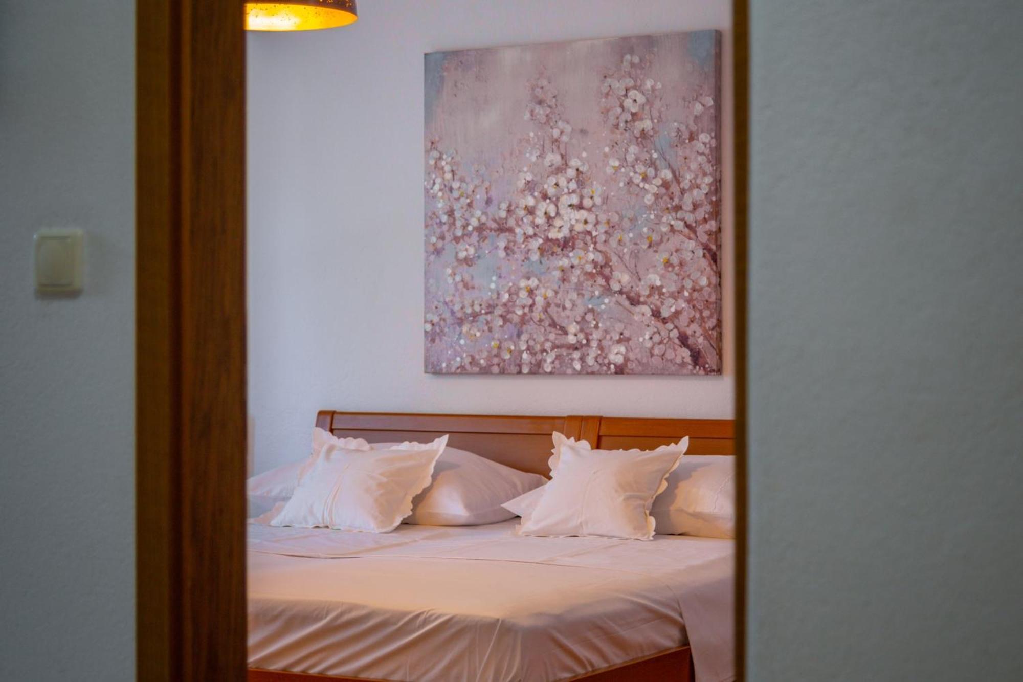 City Center Ana Apartments マカルスカ エクステリア 写真